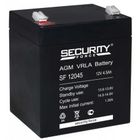 12V, 4.5Ah   RL1245   90*70*101мм  свинцово-кислотный  аккумулятор